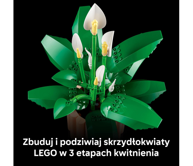 LEGO BOTANICALS 11504 Skrzydłokwiat - 1473410 - zdjęcie 6